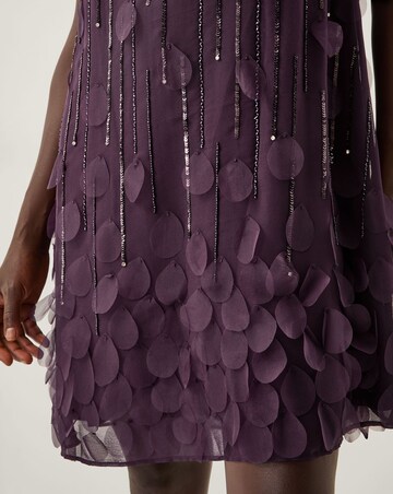 Monsoon Cassidy Sleeveless Mini Dress