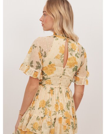 Anaya With Love Floral Print Dress