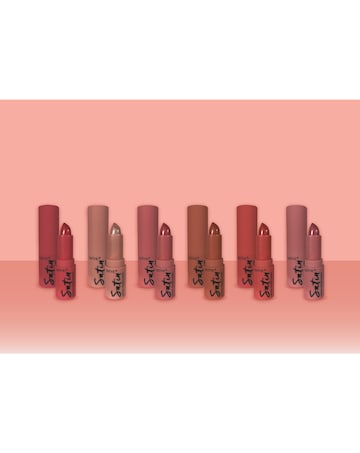 Technic Satin lipstick Bundle