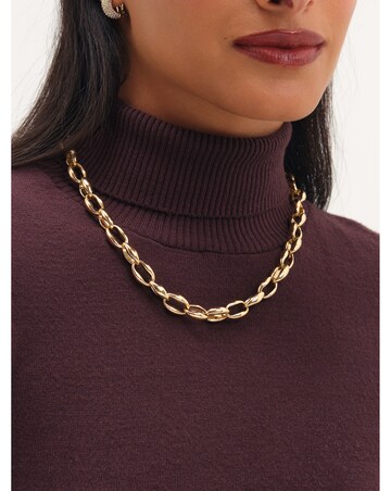 Jon Richard Gold Plated And Oval Link Necklace