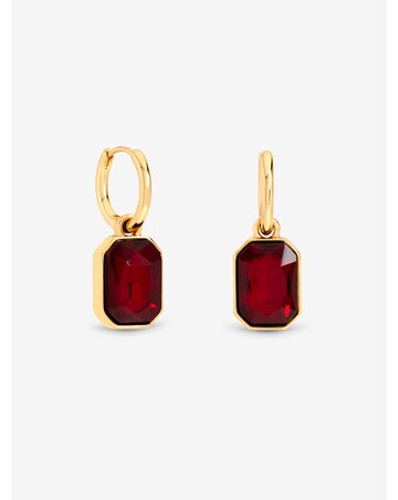 Mood Gold Plated And Red Crystal Drop Earrings