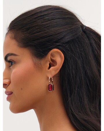 Mood Gold Plated And Red Crystal Drop Earrings