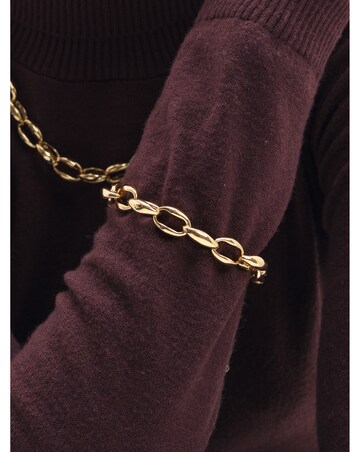 Jon Richard Gold Plated And Oval Link Bracelet