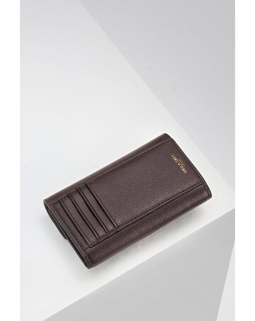 Luella Grey Leontina Chocolate Medium Purse