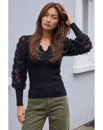 Roman Lace Sleeve V-Neck Knit Top