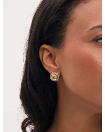 Jon Richard Gold Plated And Champagne Stud Earrings