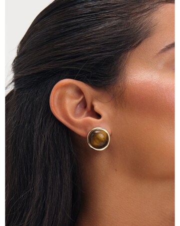 Jon Richard Gold Plated Tigers Eye Clip Earrings