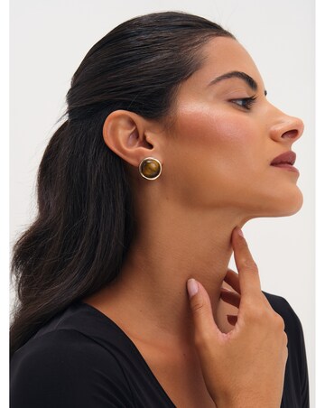 Jon Richard Gold Plated Tigers Eye Clip Earrings