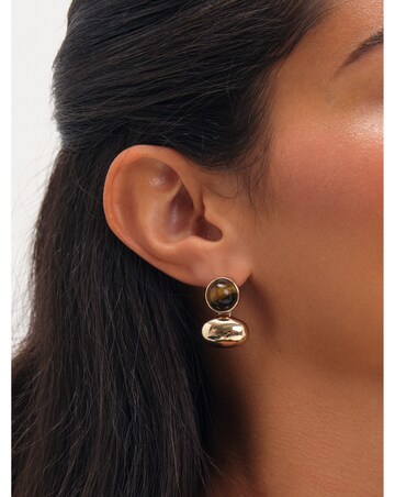 Jon Richard Gold Plated Tigers Eye And Polished Drop Earrings