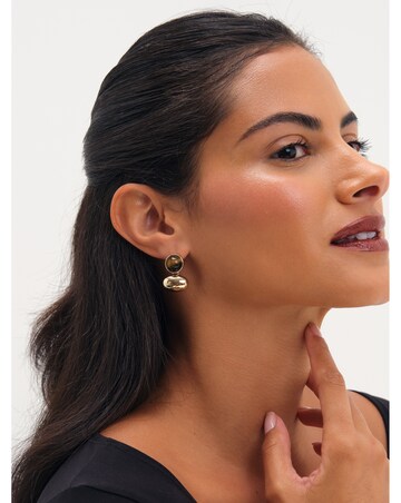 Jon Richard Gold Plated Tigers Eye And Polished Drop Earrings