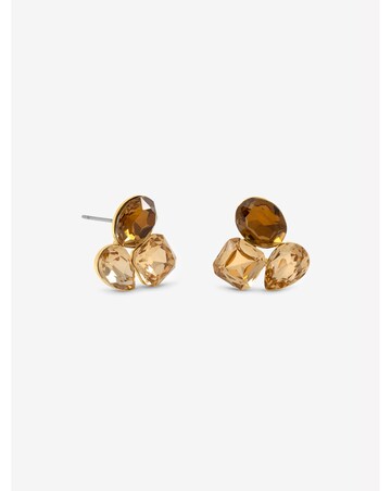 Jon Richard Gold Plated And Brown Multi Stone Earrings