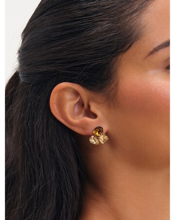 Jon Richard Gold Plated And Brown Multi Stone Earrings