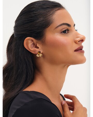 Jon Richard Gold Plated And Brown Multi Stone Earrings
