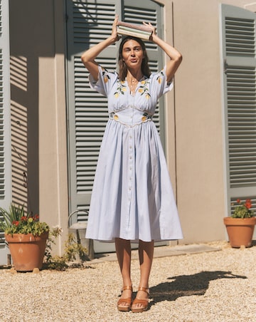 Monsoon Marisol Lemon Stripe Midi Dress