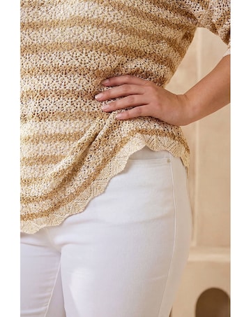 Roman Curve Scallop Hem Stripe Knit