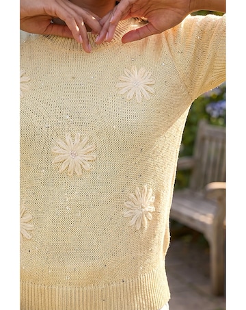 Roman Daisy Sparkly Embroidered Knit Top