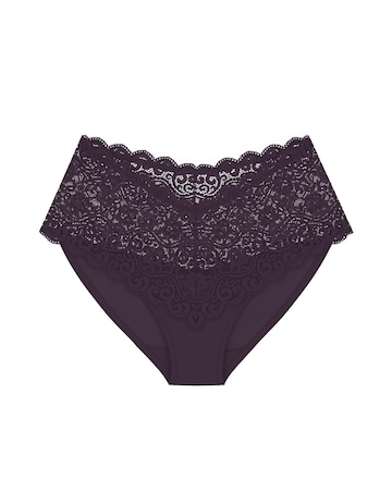 Triumph Amourette Maxi Briefs Brandy