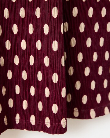Mango Dress Pomelp
