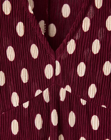 Mango Dress Pomelp