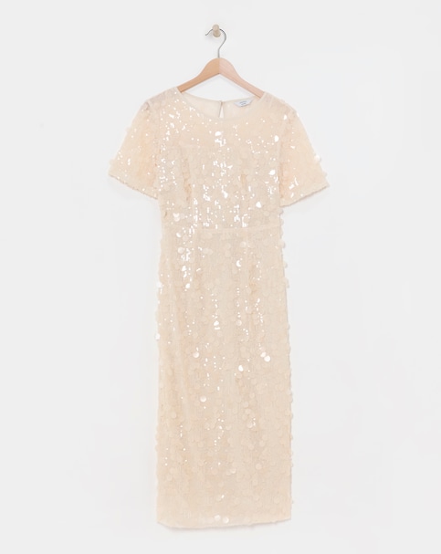 Joanna Hope Sequin Column Dress