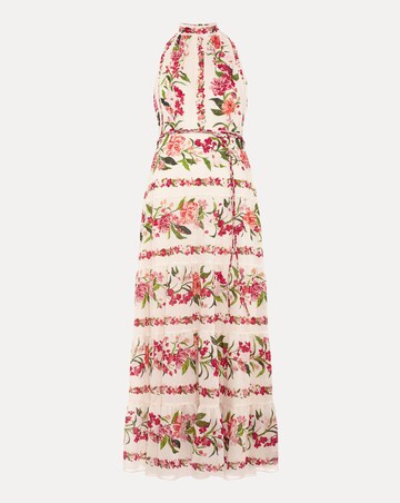 Phase Eight Nita Floral Maxi Dress