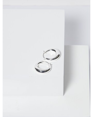 Jon Richard Silver Plated Graduated Hoop Earrings