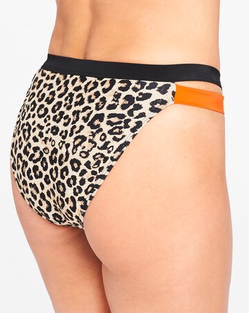 Animal Print Hipster Bikini Brief