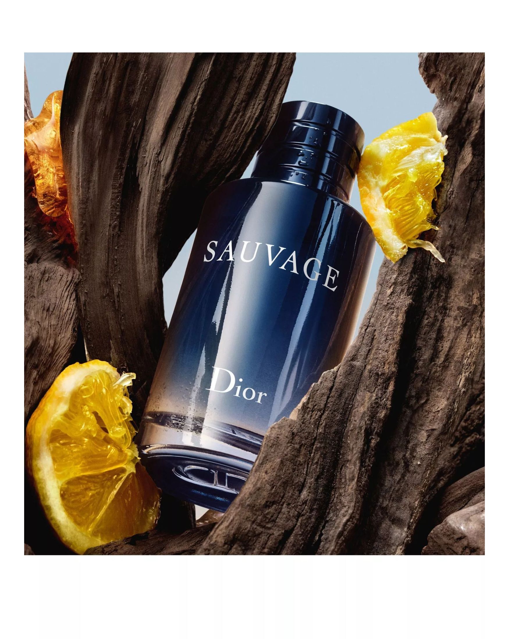 Christian? Dior Sauvage Eau De Toilette Spray 100ml | Ambrose Wilson