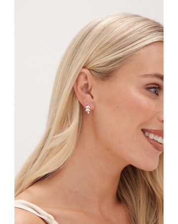 Simply Silver Sterling Silver 925 Cubic Zirconia Leaf Stud Earrings