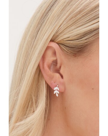 Simply Silver Sterling Silver 925 Cubic Zirconia Leaf Stud Earrings