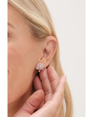 Simply Silver Sterling Silver 925 Polished Meaningful Tree Stud Earrings