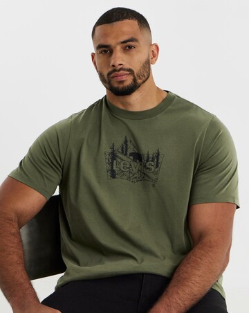 Levi's Short Sleeve Mountain Graphic T-Shirt - Olive