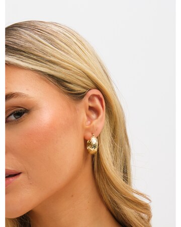 Jon Richard Textured Large Hoop Earrings
