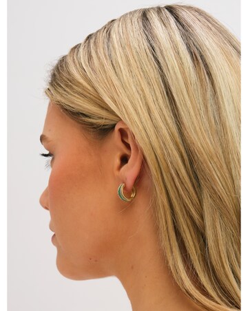 Jon Richard Gold Plated Crystal and Malachite Hoop Earrings