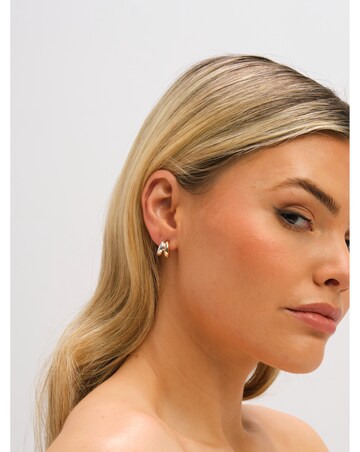 Jon Richard Two Tone Double Row Hoop Earrings