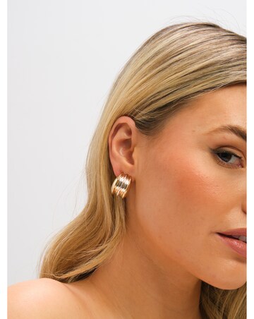 Mood Two Tone Dome Earrings