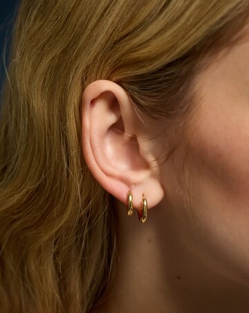 Accessorize Gold-Plated Hoop Earrings