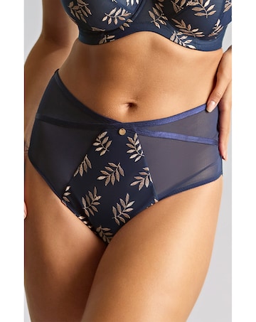 Panache Tango Deep Knicker Navy/Champagne