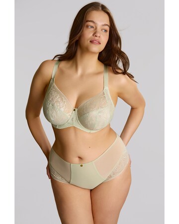 Sculptresse Dream Deep Brief Pistachio