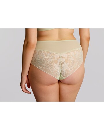 Sculptresse Dream Deep Brief Pistachio