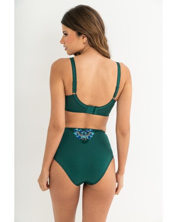 Pour Moi Sofia Lace Embroidered Deep Brief