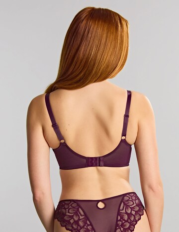 Panache Allure Plum Full Cup Wired Bra