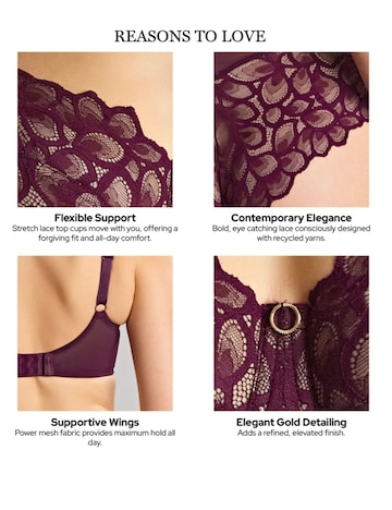 Panache Allure Plum Full Cup Wired Bra