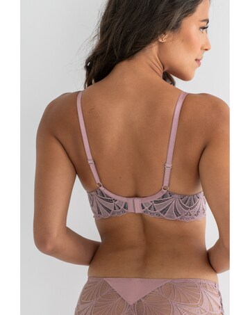 Pour Moi New Romance Padded Push-Up Plunge Bra