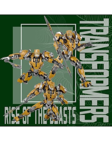Transformers ROTB: 18cm Cheetor Model Kit