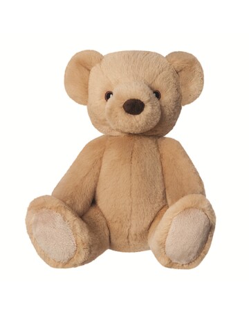 Eco Nation Teddy Bear