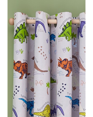 Catherine Lansfield Prehistoric Dinosaurs Two Curtain Panels