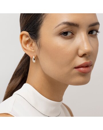 Radley 18ct Gold Plated Teardrop Stud Earrings