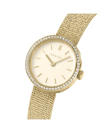 Radley Gold Plated 27mm Stone Set Mesh Watch