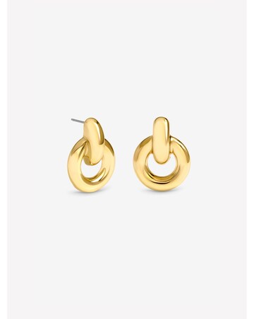 Mood Gold Plated Door Knocker Polished Earrings
